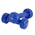 Crossfit Custom Logo Vinyl Dumbbell for Sale